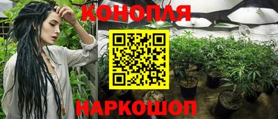 прущие крисы Берёзовский