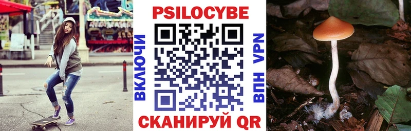 Псилоцибиновые грибы Cubensis  Череповец 