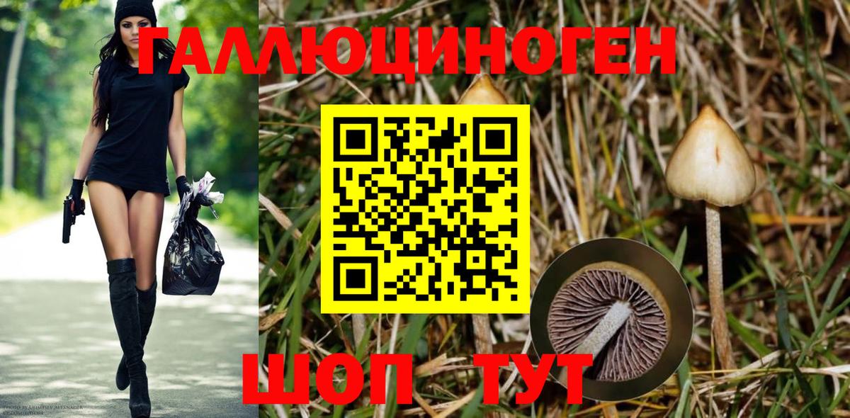 Галлюциногенные грибы Psilocybine cubensis  Вход с VPN  Череповец 