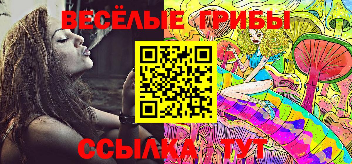 Псилоцибиновые грибы Psilocybine cubensis  Череповец 